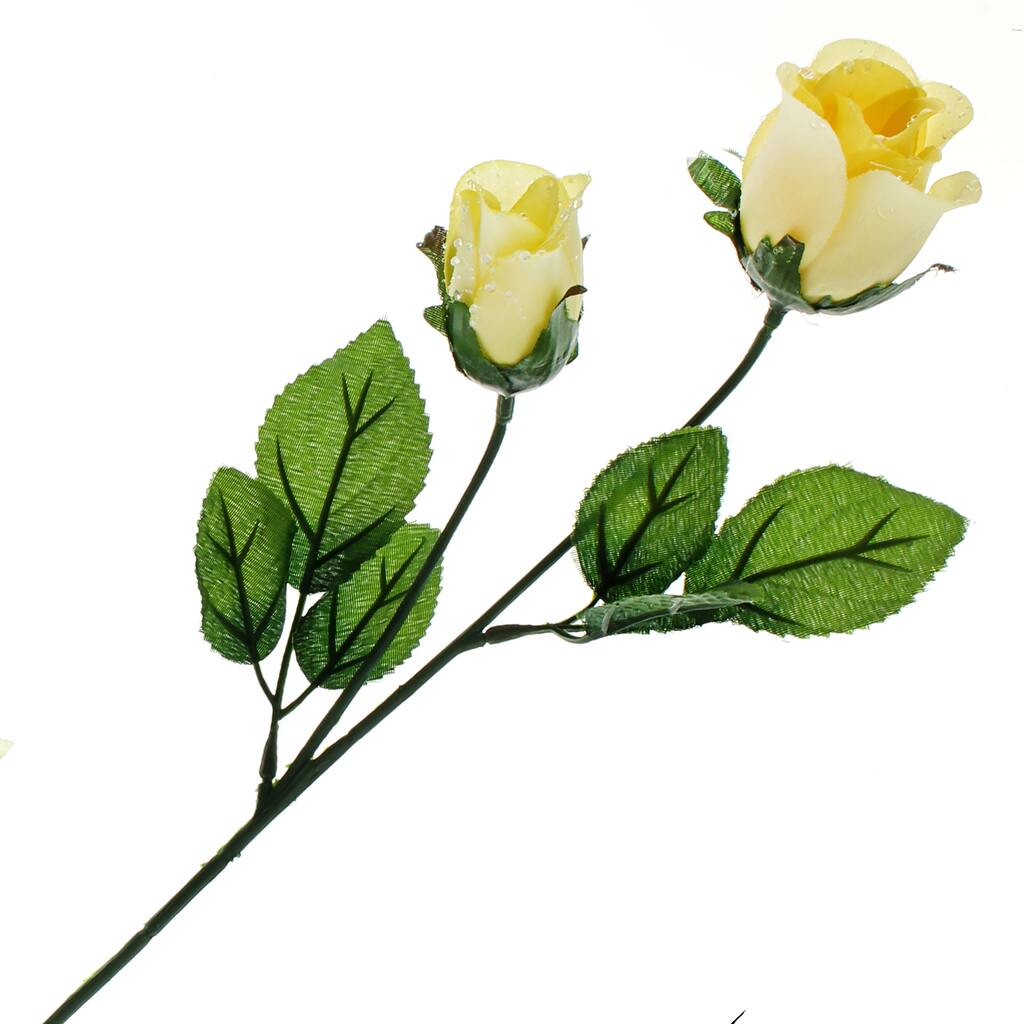 10262983.jpg img